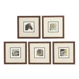 Five Framed Animal Etchings by N. Charles, Each an etching in colors on paper, sold Aug 2026