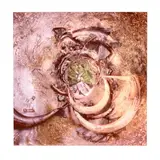Crab Tree Falls by Dan Bailey, C-print flush mounted to aluminum, sold Jul 2026