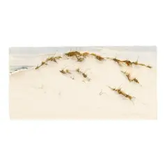 Dune by Nancy Tuttle May, Watercolor on paper, sold Jul 2026