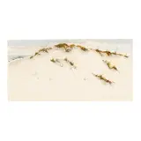 Dune by Nancy Tuttle May, Watercolor on paper, sold Jul 2026