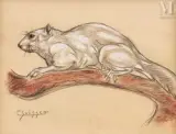 Ecureuil by Gaston Suisse, Craie, sanguine et crayon, sold Dec 2019