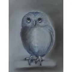 Hibou by Sophía Vári, 1979, Stylo bille et pastel sur carton fin, sold Jun 2015