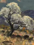 Blossoming Tree in a Landscape by Signed P. Booyens, 1974, oil on board, sold Mar 2022