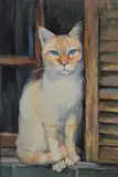 Cat on an Old Window by Vesela Sultanova 'VesA', oil on paper, offered Mar 2025