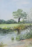 Untitled by Flo-anne Byford, watercolour, offered Mar 2025