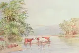 Cattle watering by H Smithbirt, watercolour, offered Jan 2025