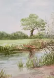 Untitled by Flo-anne Byford, watercolour, offered Jan 2025