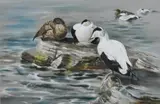 Untitled by Mary Elliot Lacey, oil on board, offered Dec 2024