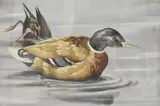 Both pictures depicting ducks by John Crank, watercolour and gouache, offered Nov 2024