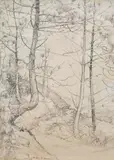 Woodland path by Arthur Creed Hambley, pencil, offered Nov 2024