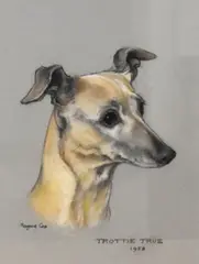 Trottie True' head and neck portrait of a whippet with expressionate look by Marjorie Cox, 1958, oil, offered Nov 2024