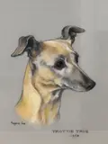 Trottie True' head and neck portrait of a whippet with expressionate look by Marjorie Cox, 1958, oil, offered Nov 2024