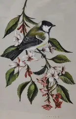 Great Tit & Weigela by John Crank, watercolour, offered Oct 2024