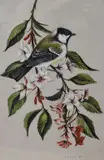 Great Tit & Weigela by John Crank, watercolour, offered Oct 2024