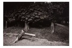 Femme Sur un Banc by Jeanloup Sieff, print, offered Mar 2026