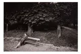 Femme Sur un Banc, 1981 Vintage silver gelatin print, image size 20 x 30cm, sheet size 30.5 x 40.5cm by Jeanloup Sieff, print, offered Mar 2026