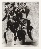 Sunflowers II [MCA Tokyo 348] by David Hockney O.M. C.H., pencil, sold Feb 2026
