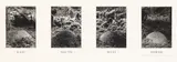 East South West North by Hamish Fulton, pencil, sold Feb 2026