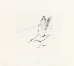 About to Fly by Tracey Emin, pencil, sold Feb 2026