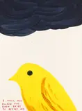 I Will Not Allow the Dark Skies to Affect Me by David Shrigley, Print Studio, London framed ARR Dimensions:sheet, sold Feb 2026