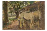 Grey Mare by Margaret Fisher Prout, oil on canvas, sold Feb 2026