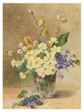 Flowers of the Spring by Emma Cooper, watercolour, offered Feb 2026