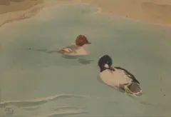 Goldeneyes Linlithgow by Richard Barrett Talbot Kelly, watercolour, offered Feb 2026