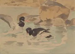 Oyster Catchers Baltany Firth of Forth by Richard Barrett Talbot Kelly, watercolour, offered Feb 2026