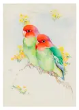Lovebirds by Edward Julius Detmold, watercolour, sold Feb 2026