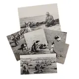 Untitled by Cherry Kearton F.R.P.S, photograph, sold Feb 2026