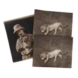 Flashlight Photograph of a Maneless African Lion c by Cherry Kearton F.R.P.S, Photograph, sold Feb 2026