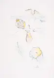 I went down into the garden of nuts to see the fruits by Salvador Dalí, print (other), sold May 2025