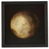 Dark side of the moon by James Perkins, Oil on canvas, sold May 2025