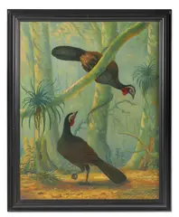 Penelope superciliaris by Nigel Hughes, Oil on canvas, sold May 2025