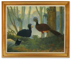 Crax rubra, a pair of birds in a woodland by Nigel Hughes, 1992, Oil on canvas, sold May 2025