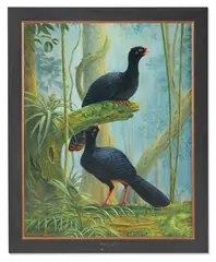 Alagoas curassow (mitu mitu) by Nigel Hughes, 1997, Oil on canvas signed and dated, sold May 2025