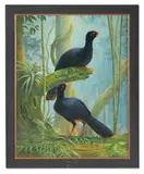 Alagoas curassow (mitu mitu) by Nigel Hughes, 1997, Oil on canvas signed and dated, sold May 2025
