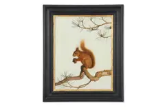 Red squirrel by Dick Smyly, Oil on canvas, sold Apr 2025