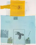 Why You Can't Tell by Robert Rauschenberg, Offset lithograph with screenprint in colours, sold Mar 2025