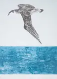 The Shearwater by Elisabeth Frink, Lithograph printed in colours, sold Mar 2025