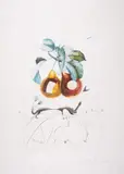 Les Fruits trouées by Salvador Dalí, engraving and embossing, sold Mar 2025
