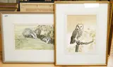 Study of a barn owl with prey and Two badgers by George Hayhurst, 1986, watercolor, sold Oct 2025