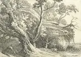 Landscape with Trees by Richard Cooper Junior, ink, offered Oct 2025