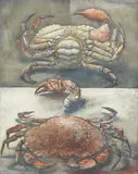 Study of a Crab by Erik Desmazieres, 1991, pencil and dated, sold Oct 2025