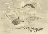 Poissons by Anthony Gross, pencil and limited, sold Oct 2025