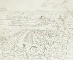 Honeysuckle & Wild Orchid by Anthony Gross, pencil and inscribed, sold Oct 2025