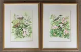 Wrens perched tin the flowers stems and Blackcaps in the by Frank Jarvis, watercolor, sold Aug 2026