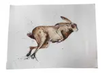 Study of a leaping hare by Clare Brownlow, watercolour and ink, sold Jul 2026