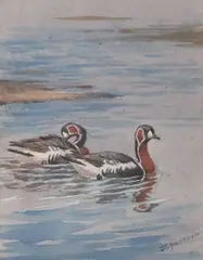 Swimming Geese and a Drake Duck in flight by John Cyril Harrison, watercolour, sold Jul 2026