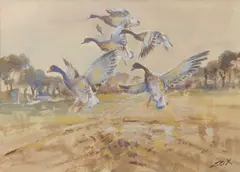 Geese alighting over fields by Jack Cox, watercolour and pastel, sold Jul 2026